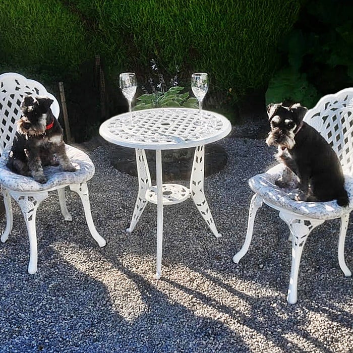 Rose Bistro 2 Seater Set - White