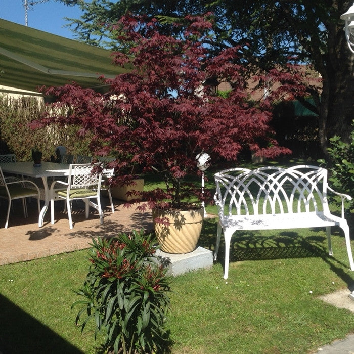 April Bench Set - White