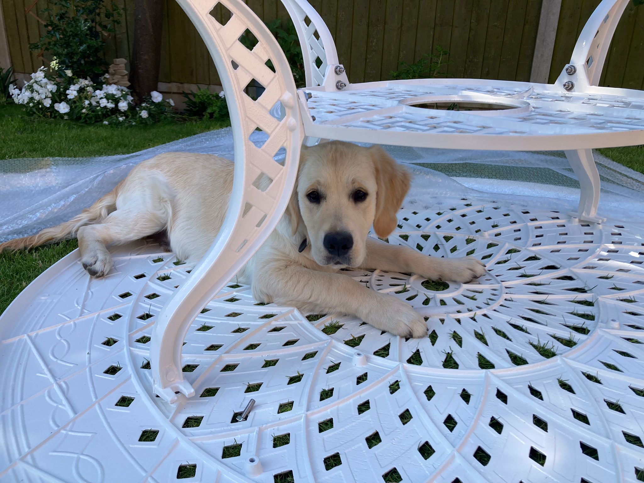 Amelia Table 8 Seater Set - White