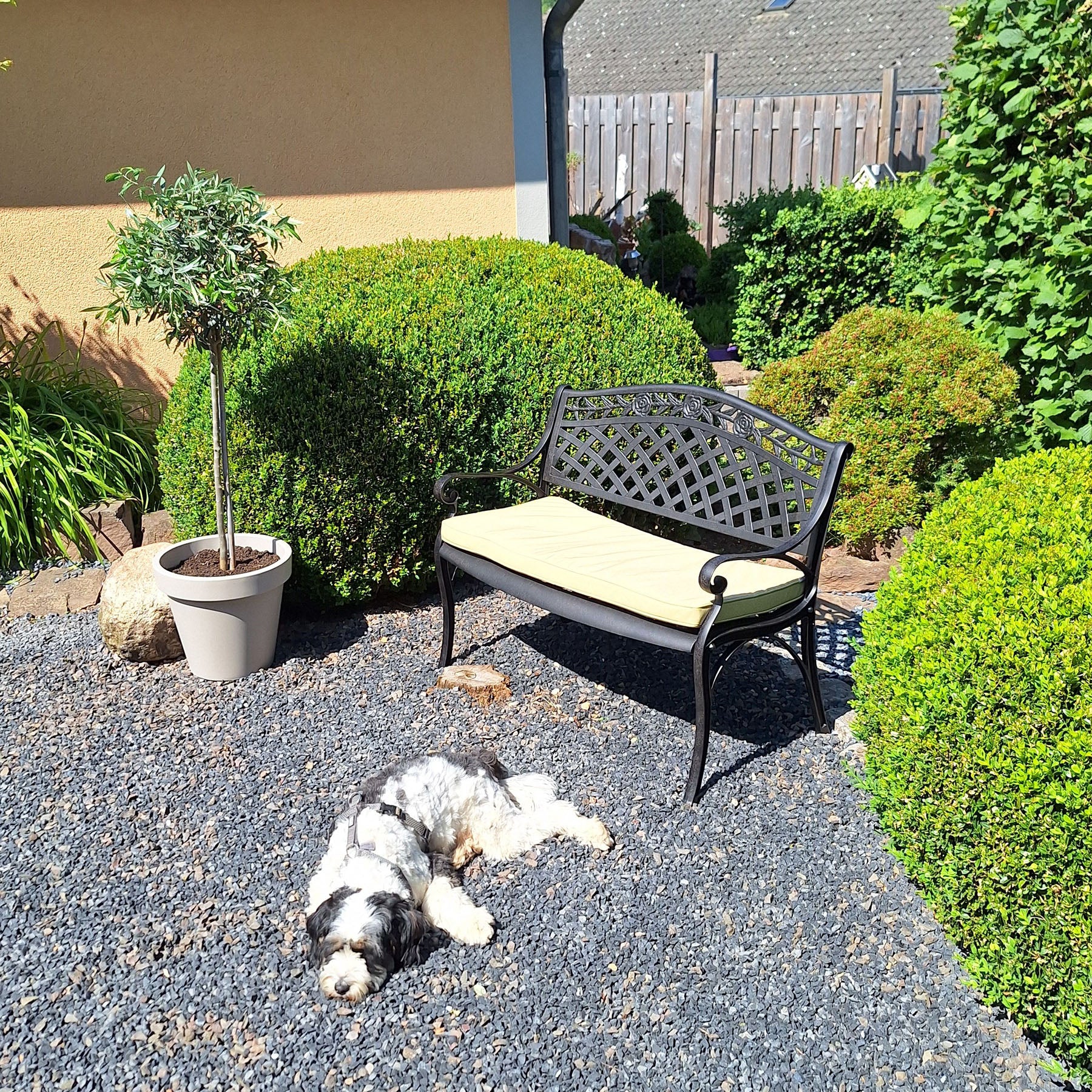 Rose Bench Set - Antique Bronze