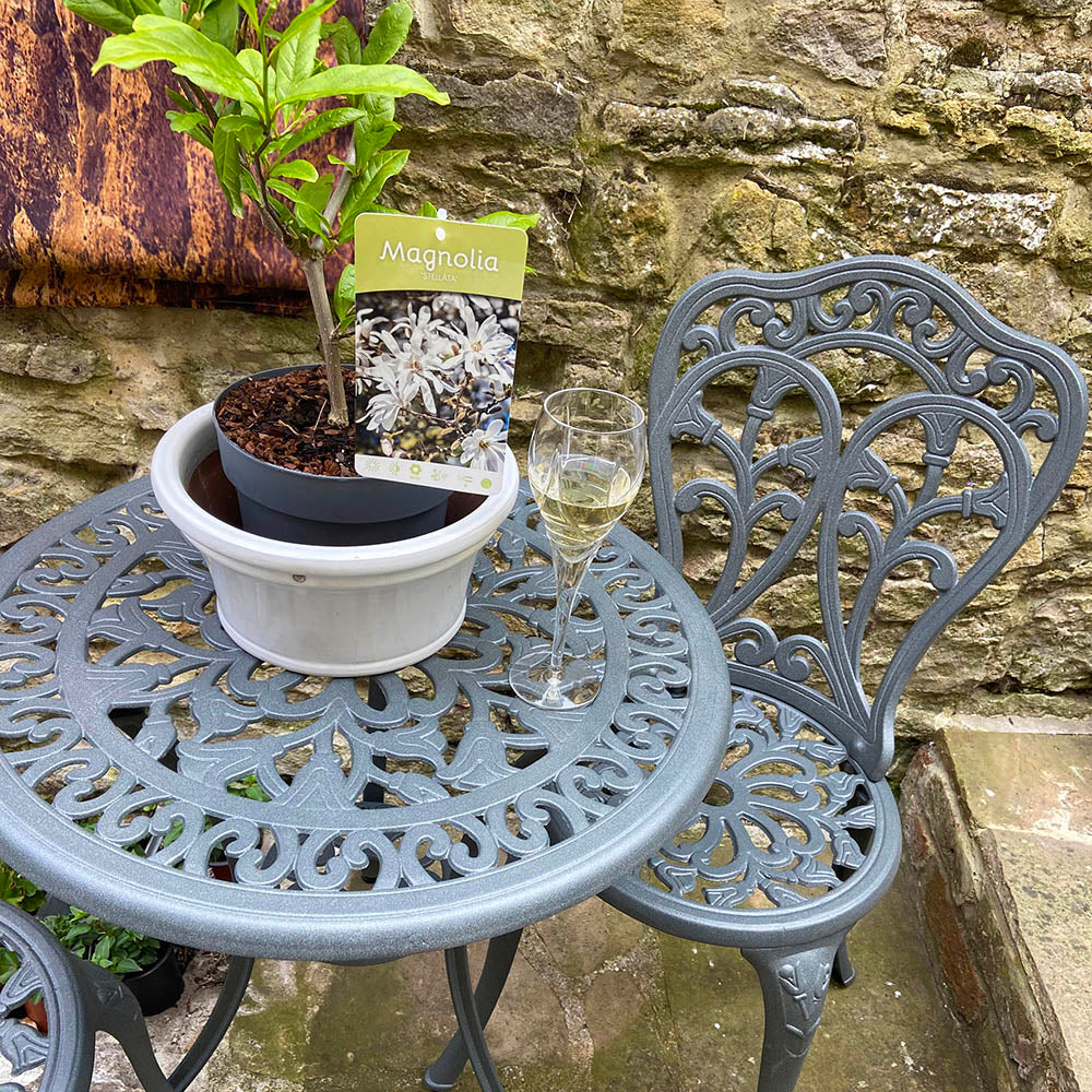 Tulip Bistro 2 Seater Set - Slate