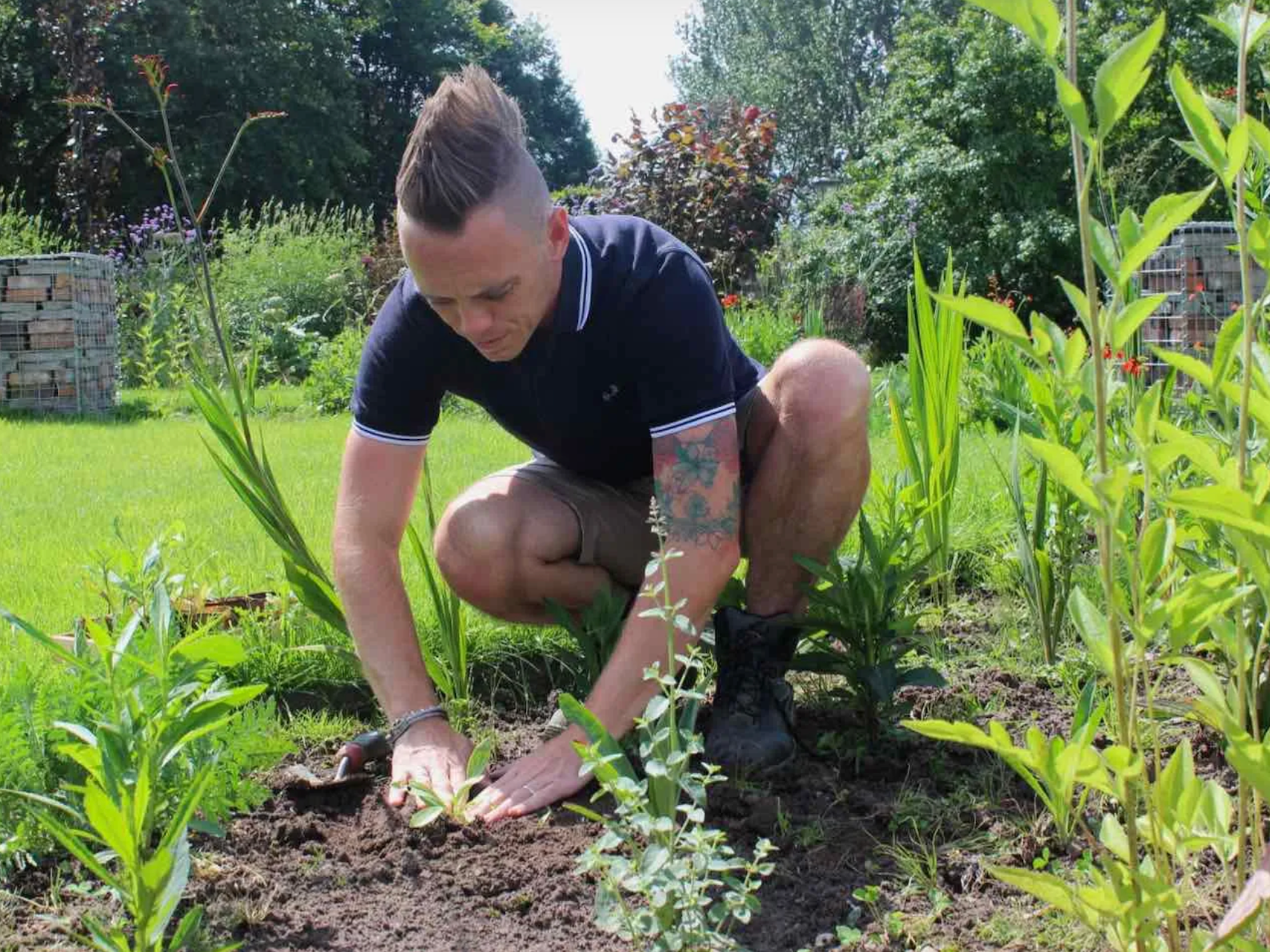 September gardening jobs: Preparing your garden for Autumn with The Garden Ninja