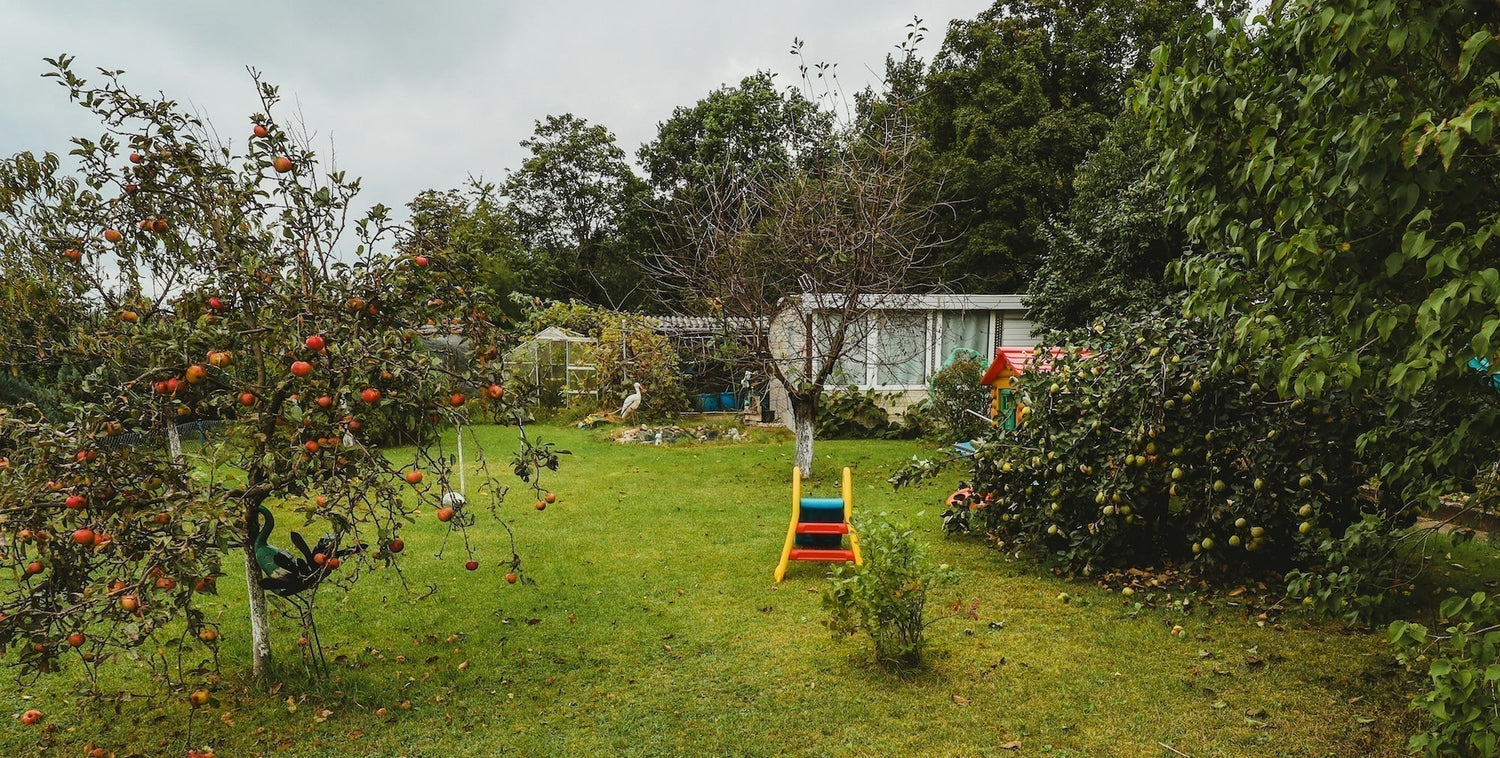 How to encourage kids to spend more time outdoors with the right garden setup