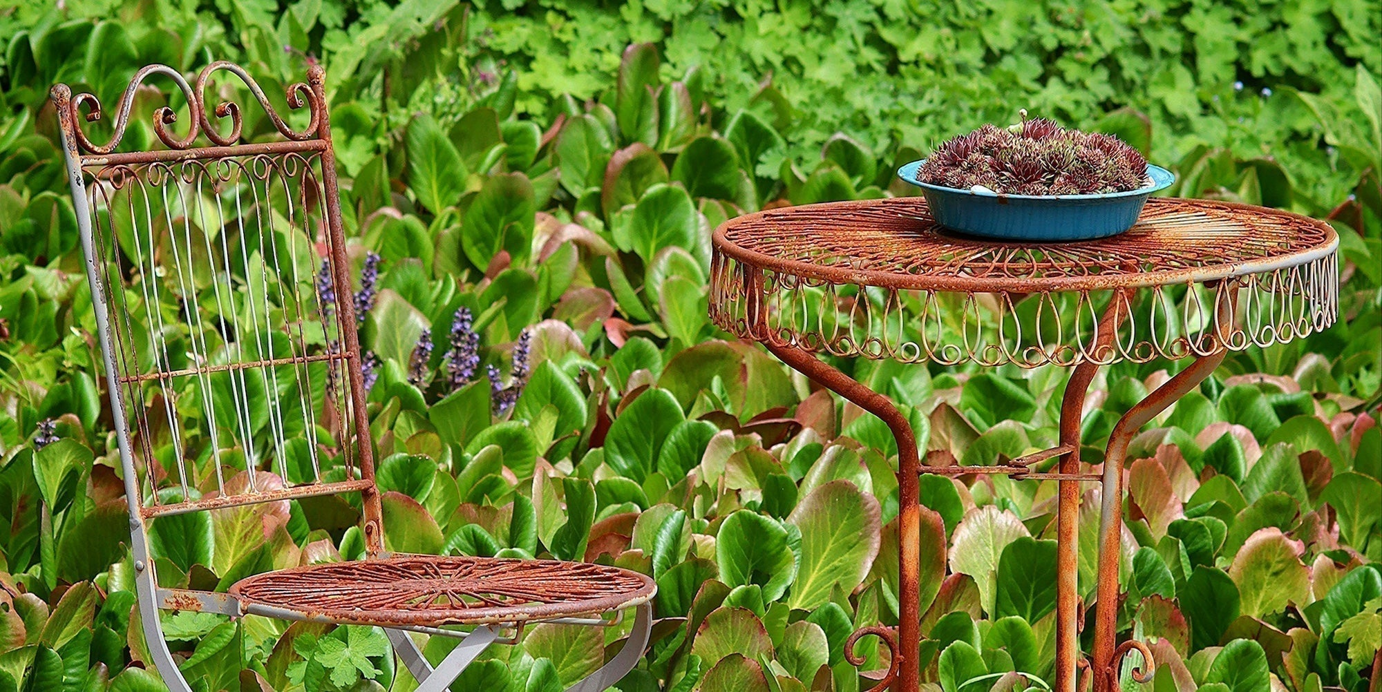 Lazy Susan’s top tips for buying vintage garden furniture