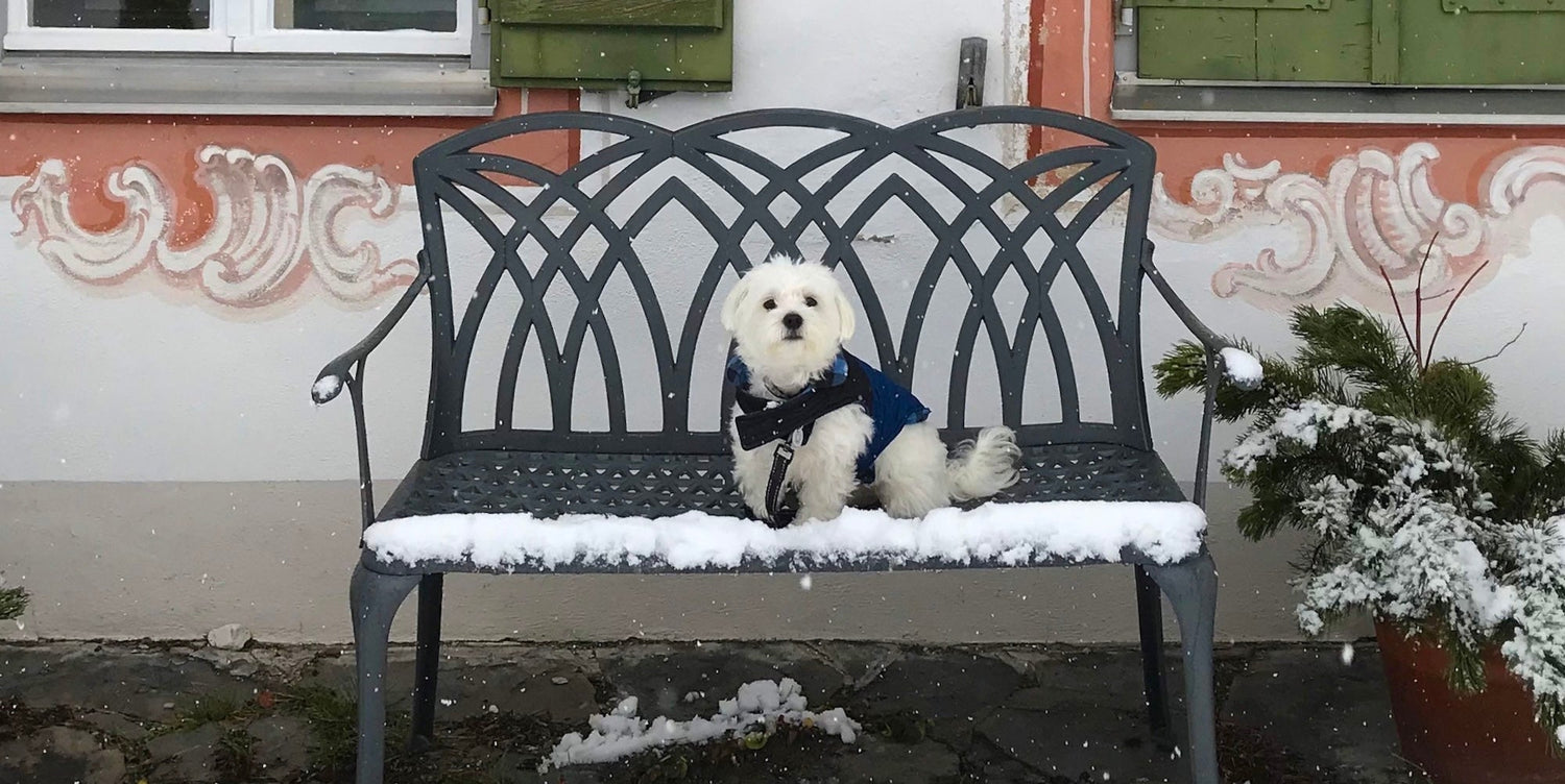 What is the best weatherproof garden furniture in the UK