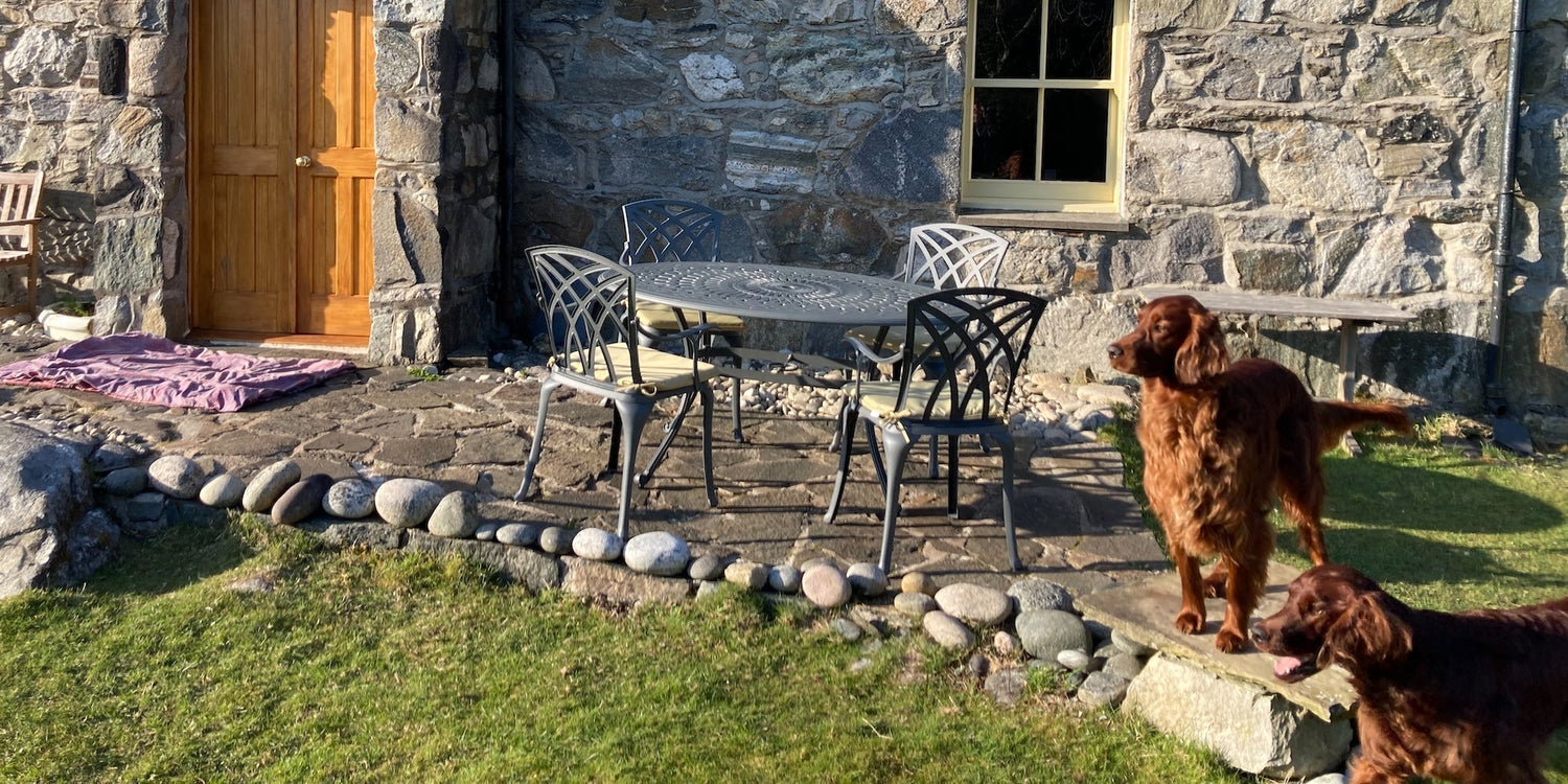 What garden furniture is best for homes with pets?