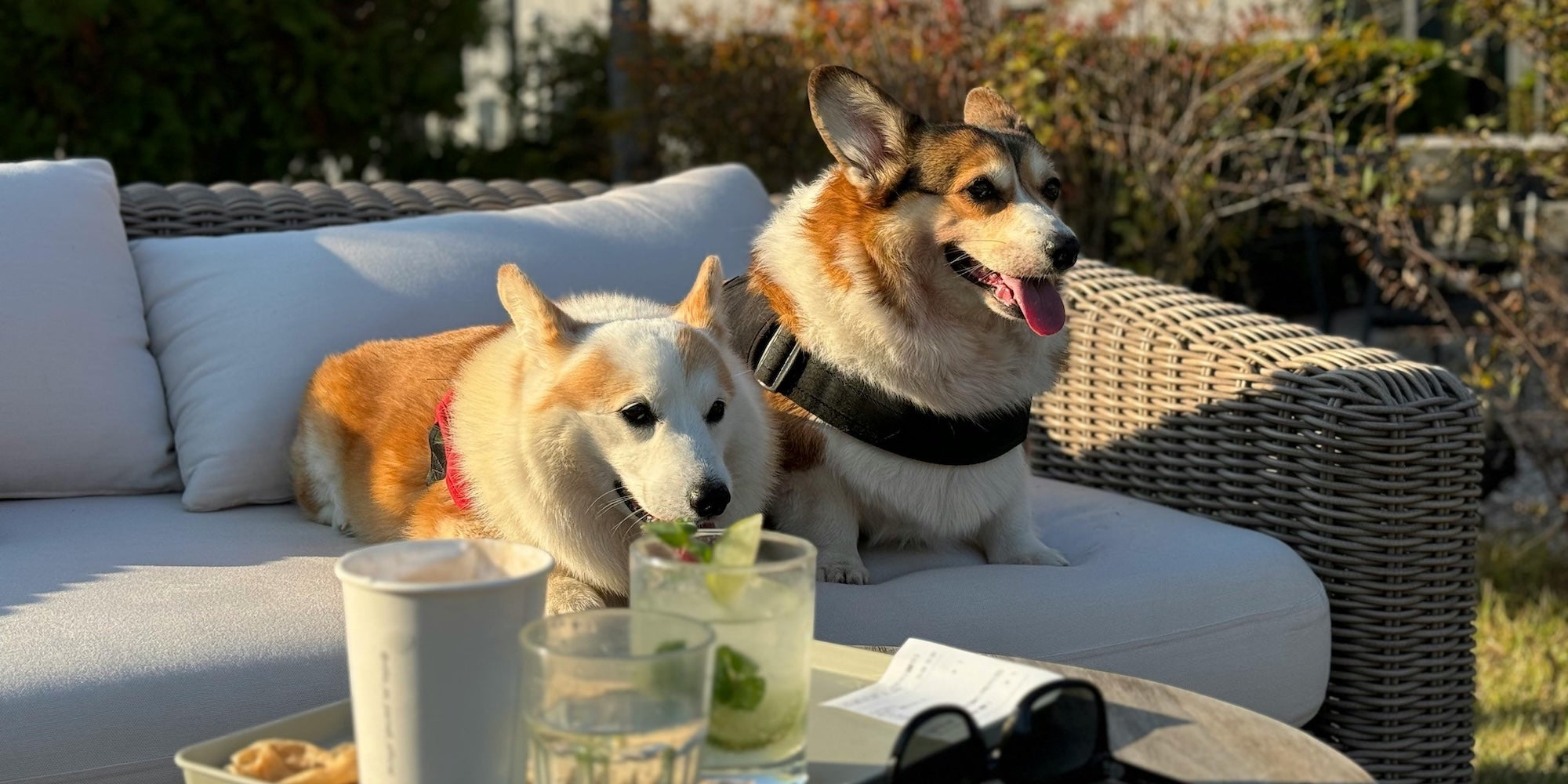 Which outdoor sofas are waterproof in the UK?