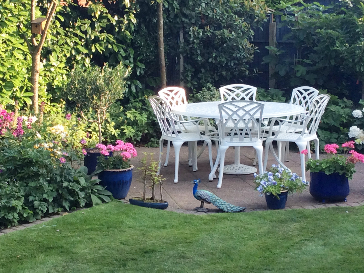 What is the most hard-wearing garden furniture?