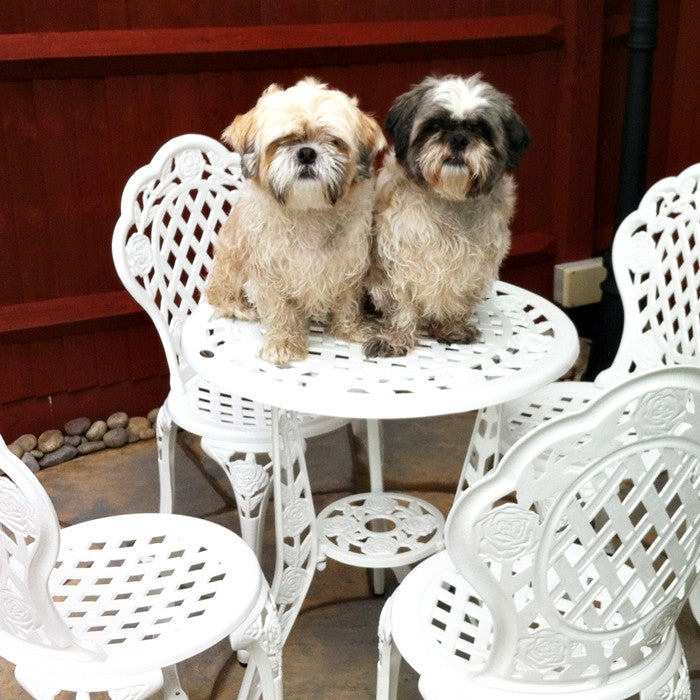 Rose Bistro Set 4 Seater Set - White