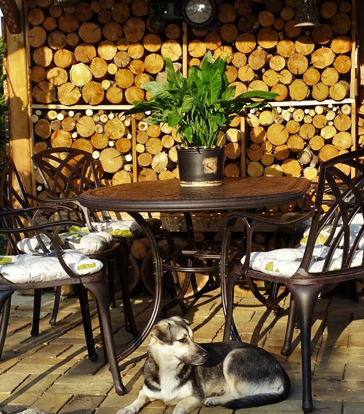 When is the best time to buy new garden furniture from Lazy Susan?