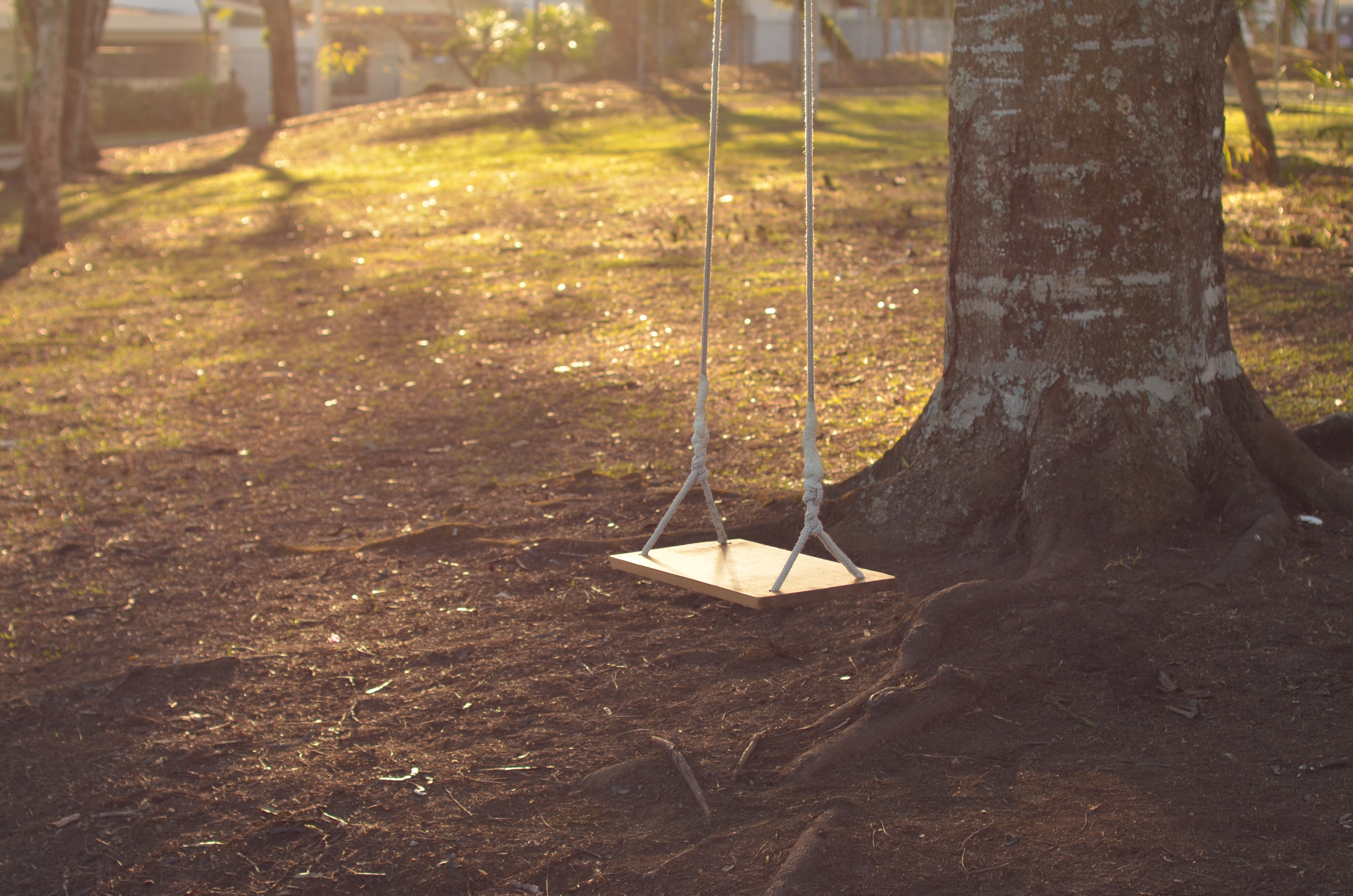 Garden swing