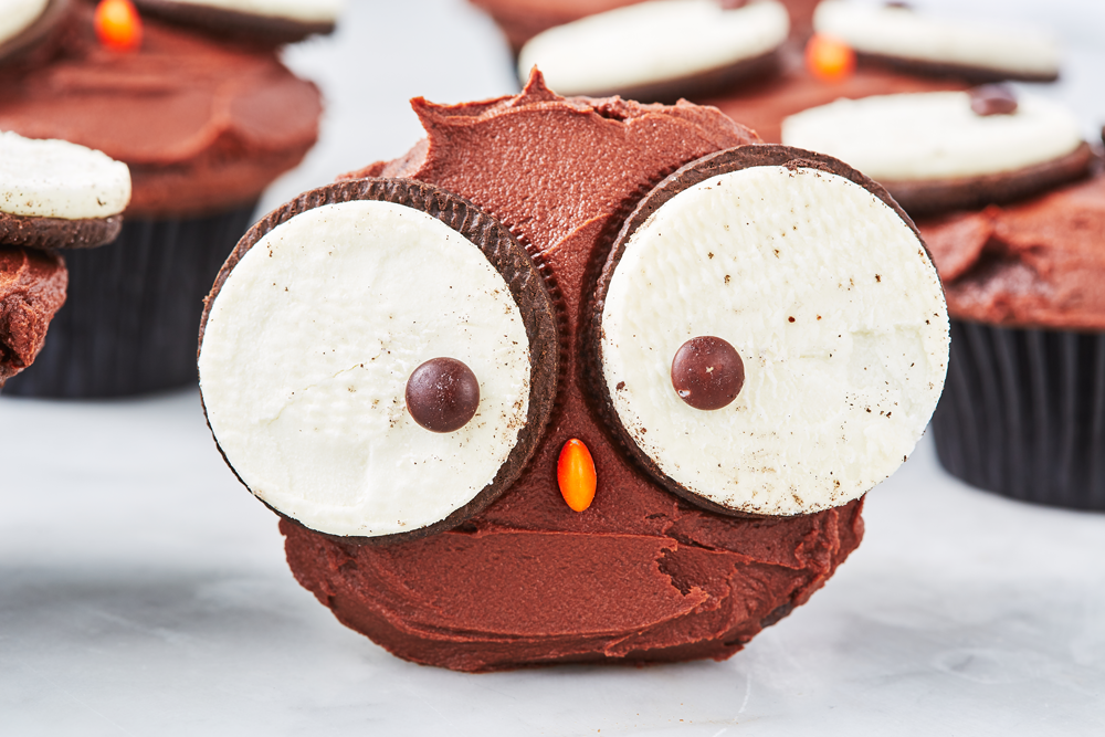 The Delish’s Owl Cupcakes