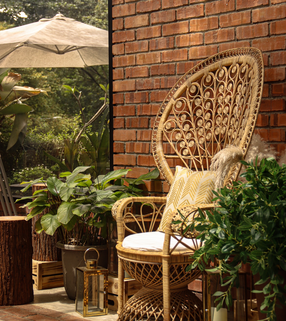 How to Care for Rattan in the Winter