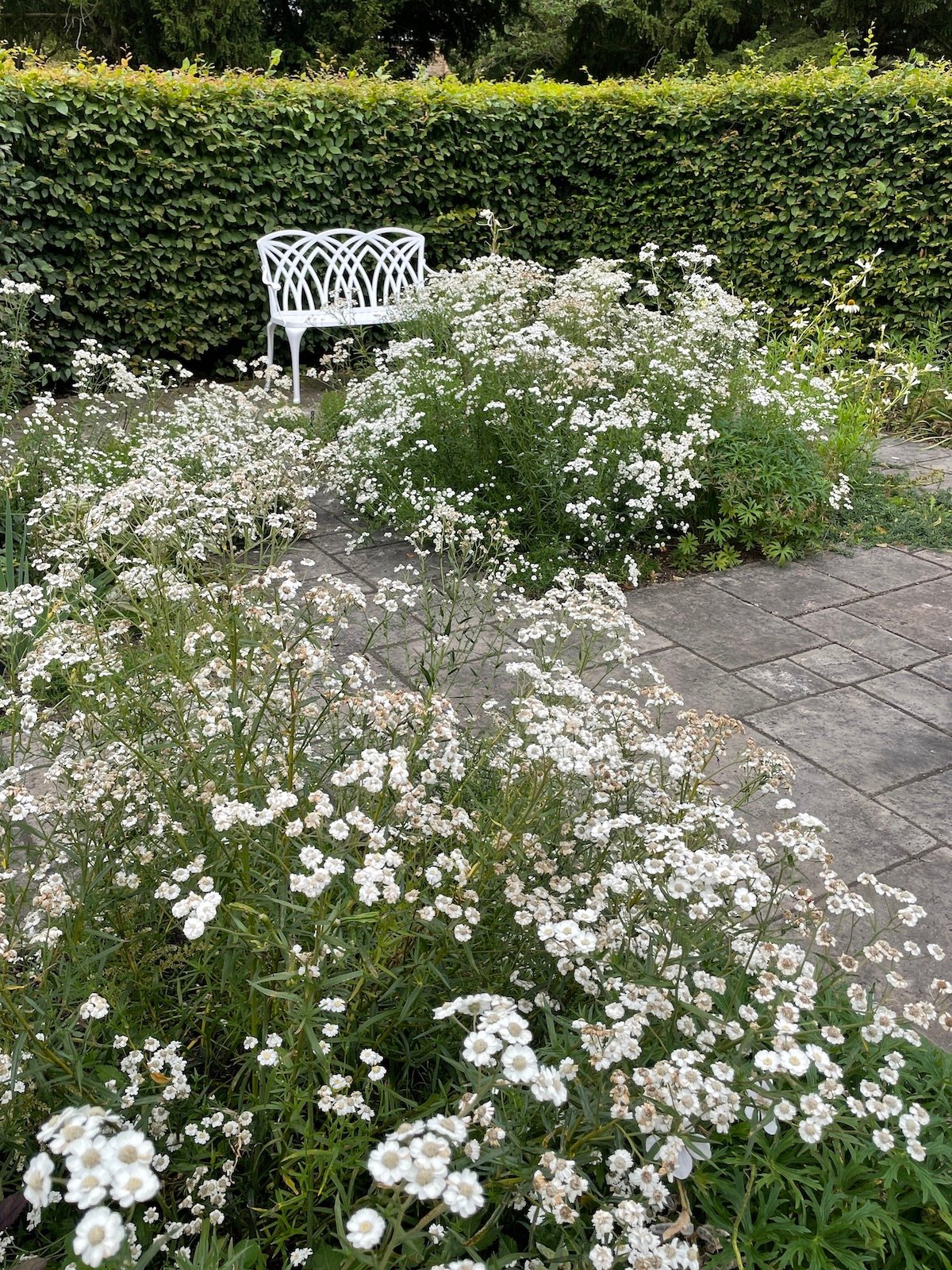 How do you choose a new garden bench?