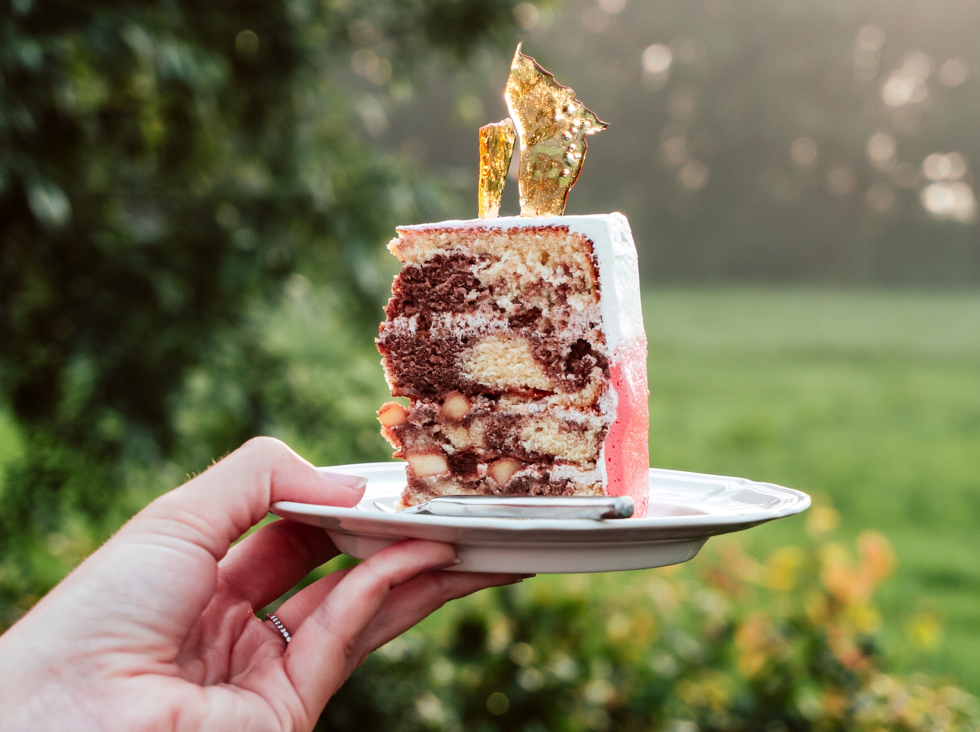 10+ Cake Pop Packaging Ideas: Elevate Sweet Treats