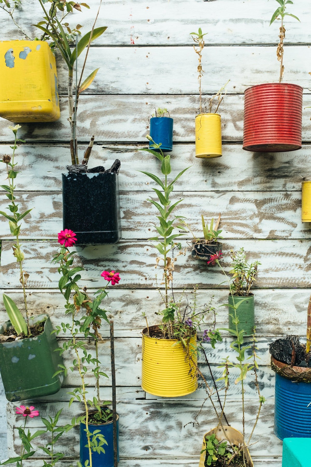 Sustainable gardening tips and ideas | Reuse, recycle and upcycle