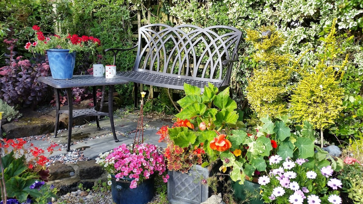 Our April Garden Bench with a good cup of tea
