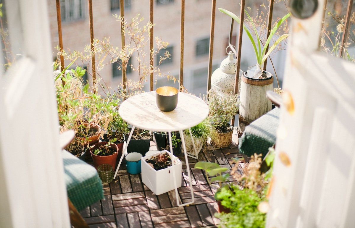 Plants on a sunny balcony